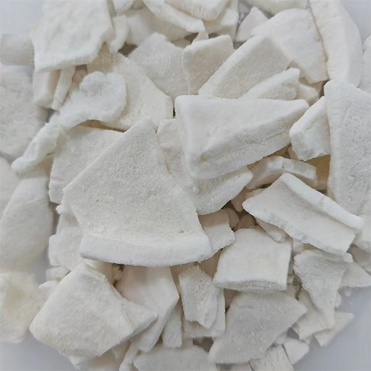 Freeze-Dried Coconut Cubes