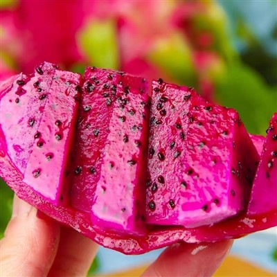 Freezing Dragon Fruit