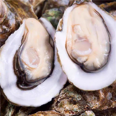 Freezing Oysters in Shell