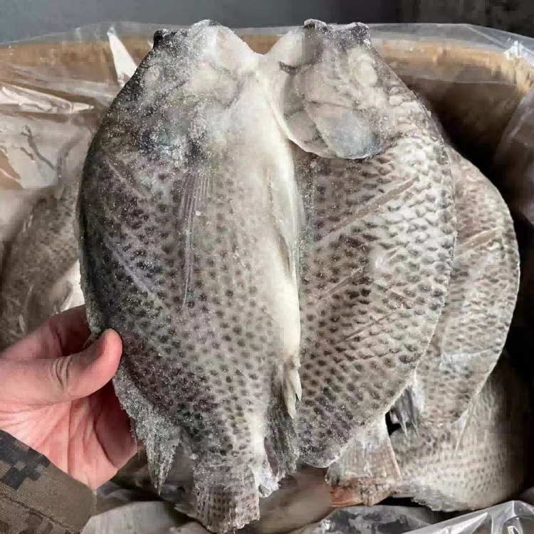 iqf tilapia portion